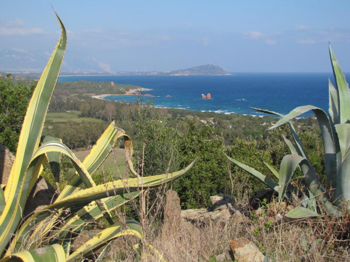Estate In Ogliastra Sa Figumoru 5 Minuti Al Mare Apartment บารีซาร์โด ภายนอก รูปภาพ